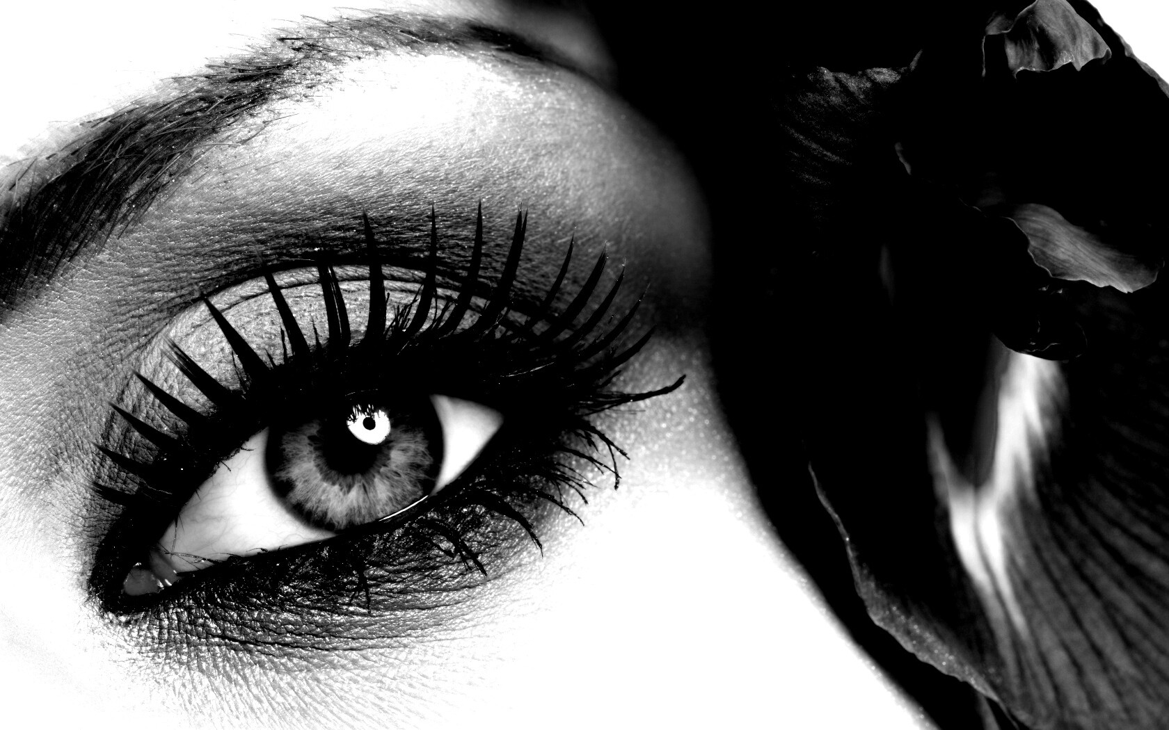 Макияж и цветок обои