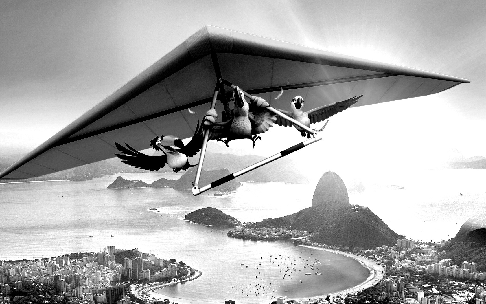 Герои мультфильма Рио обои