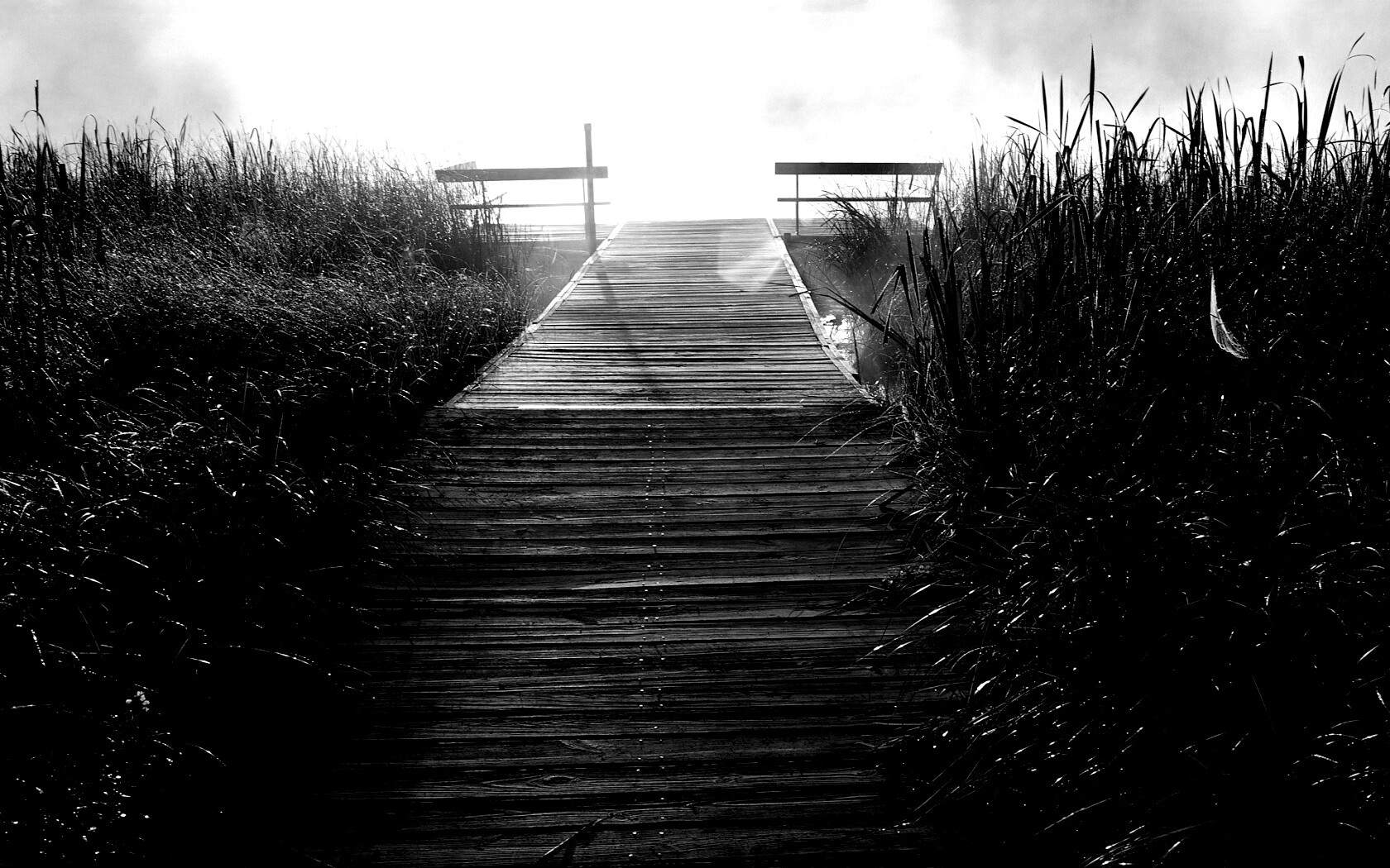 Выход к реке обои