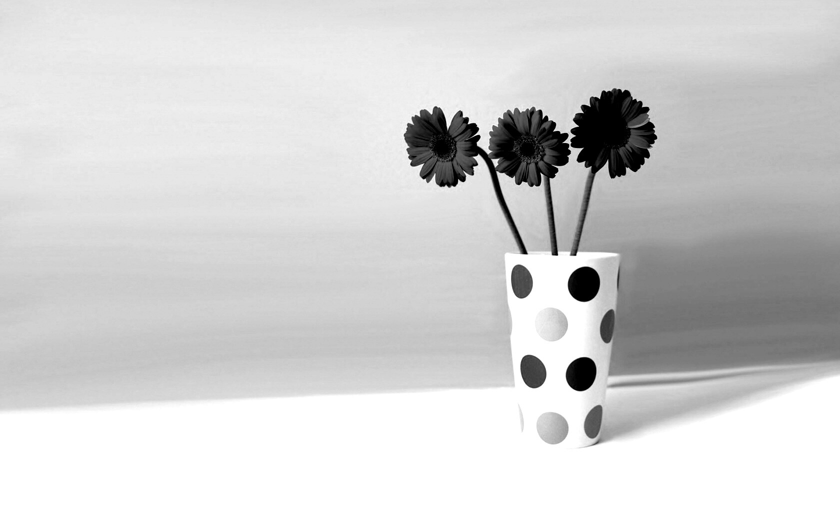 Вазочка с тремя красными герберами обои