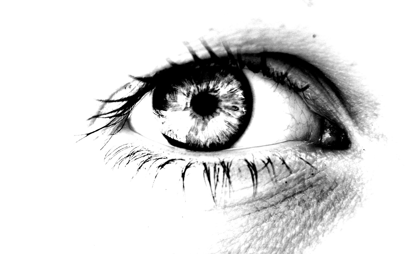 Широко раскрытые глаза обои