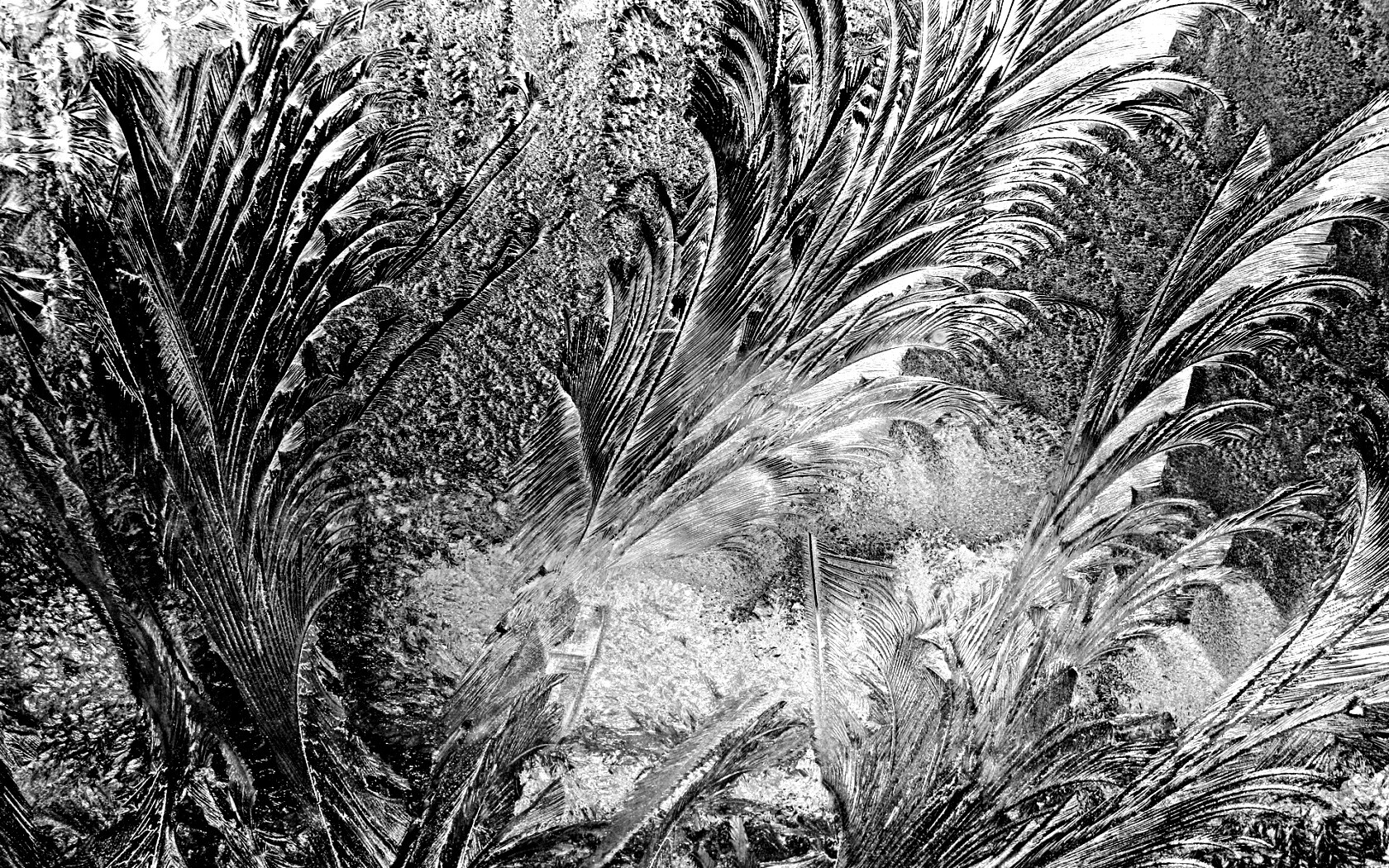 Зимние узоры обои