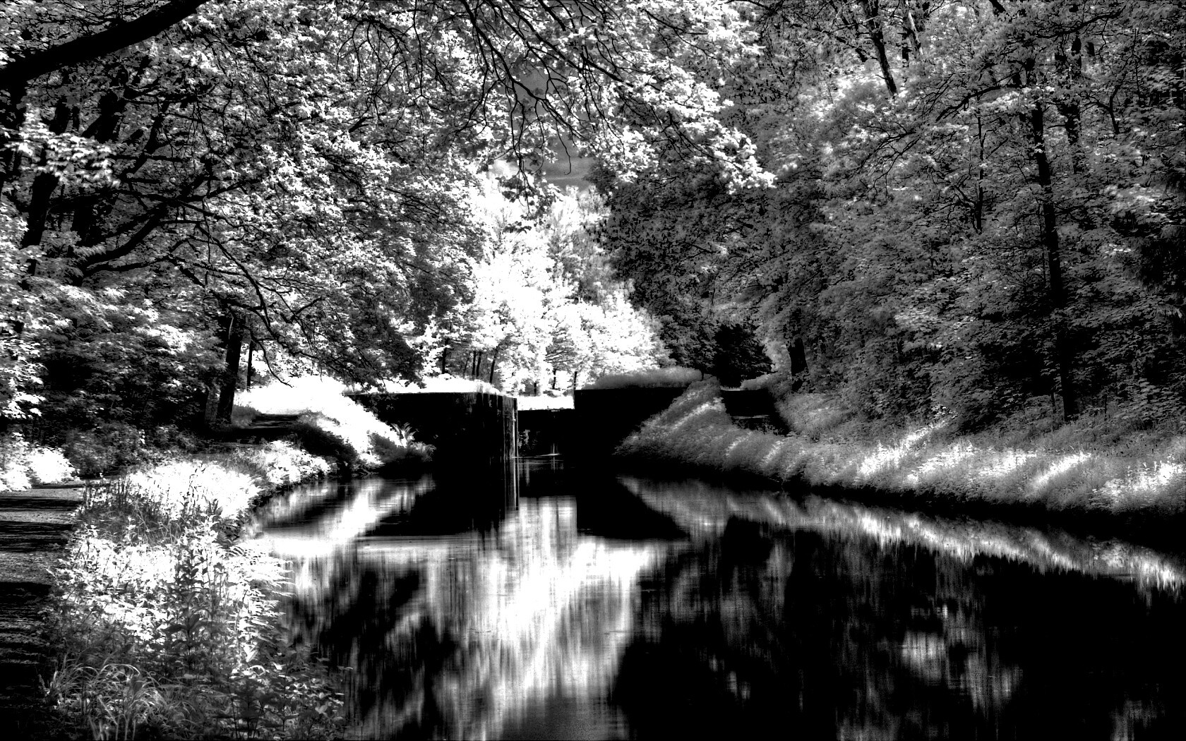 Замёрзжий канал обои