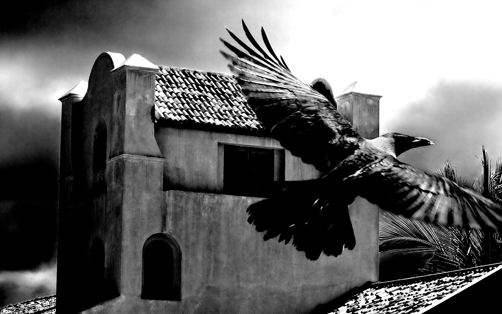 Полёт ворона обои