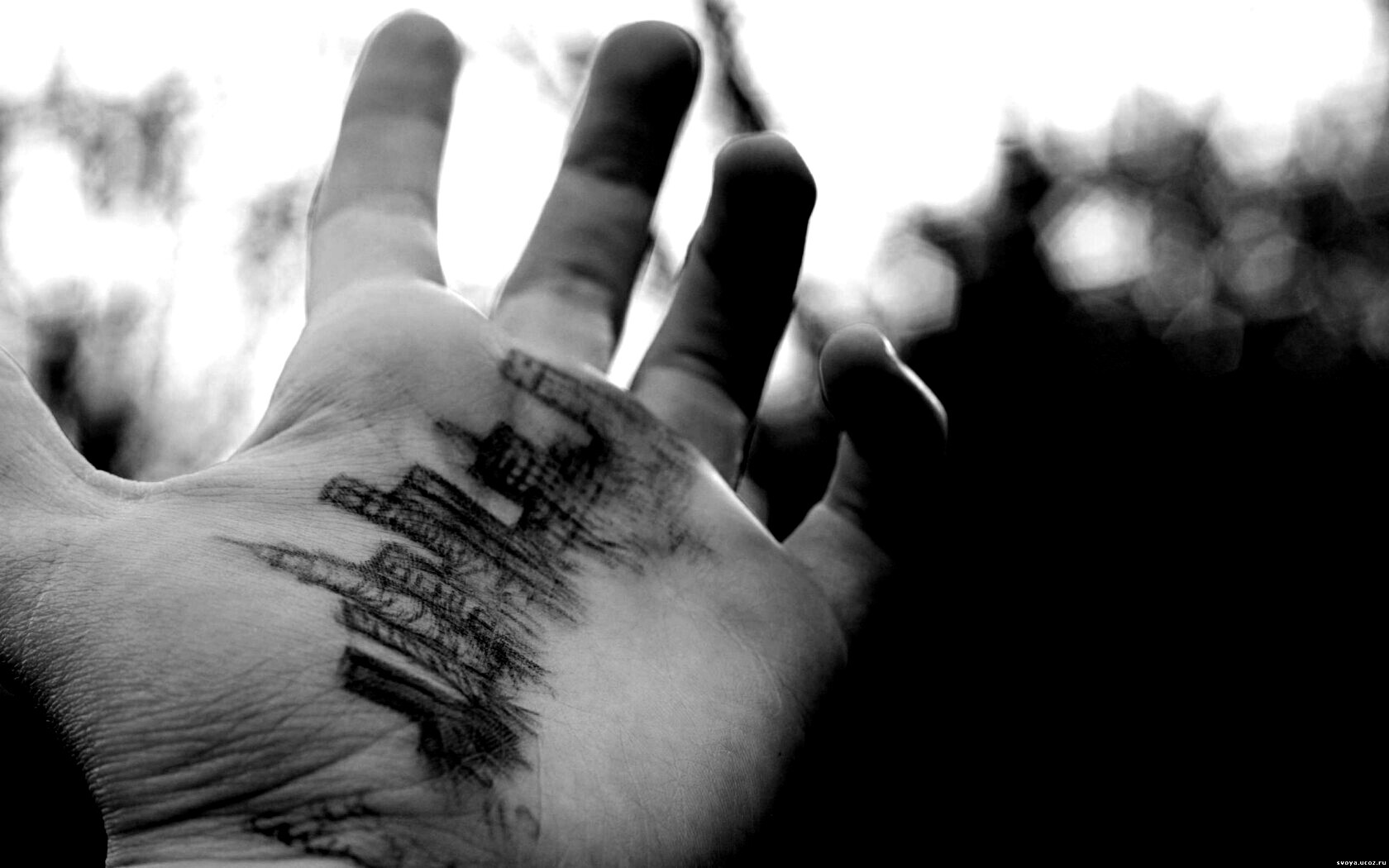 Город на ладони обои