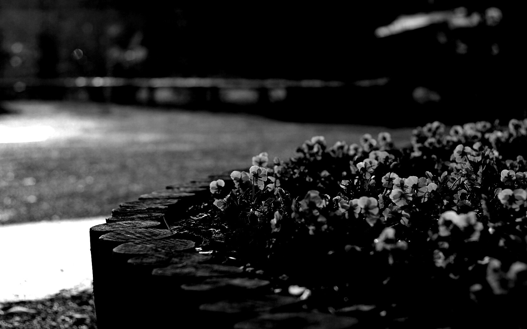 Красивая цветочная клумба обои