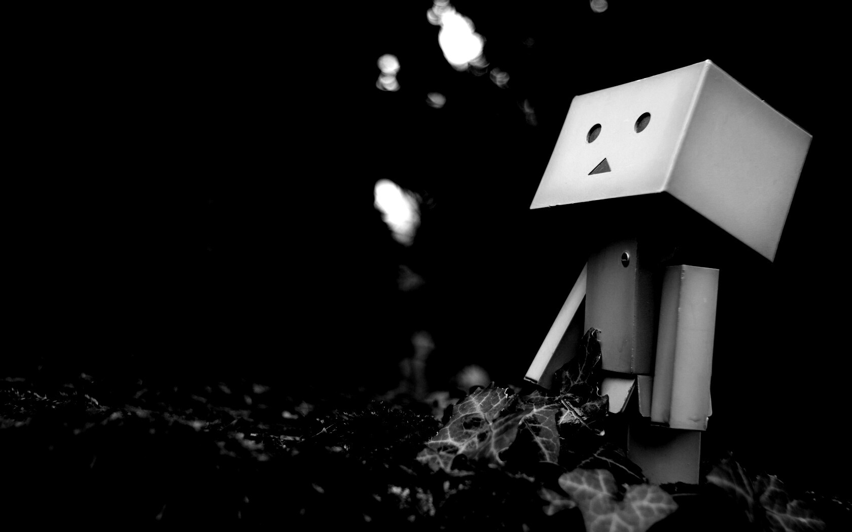 Danbo смотрит вверх обои