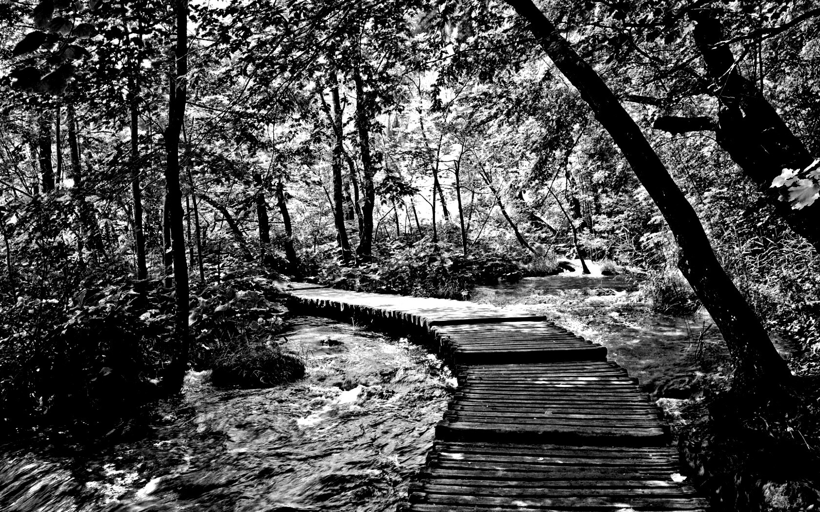 Тропинка над водой обои