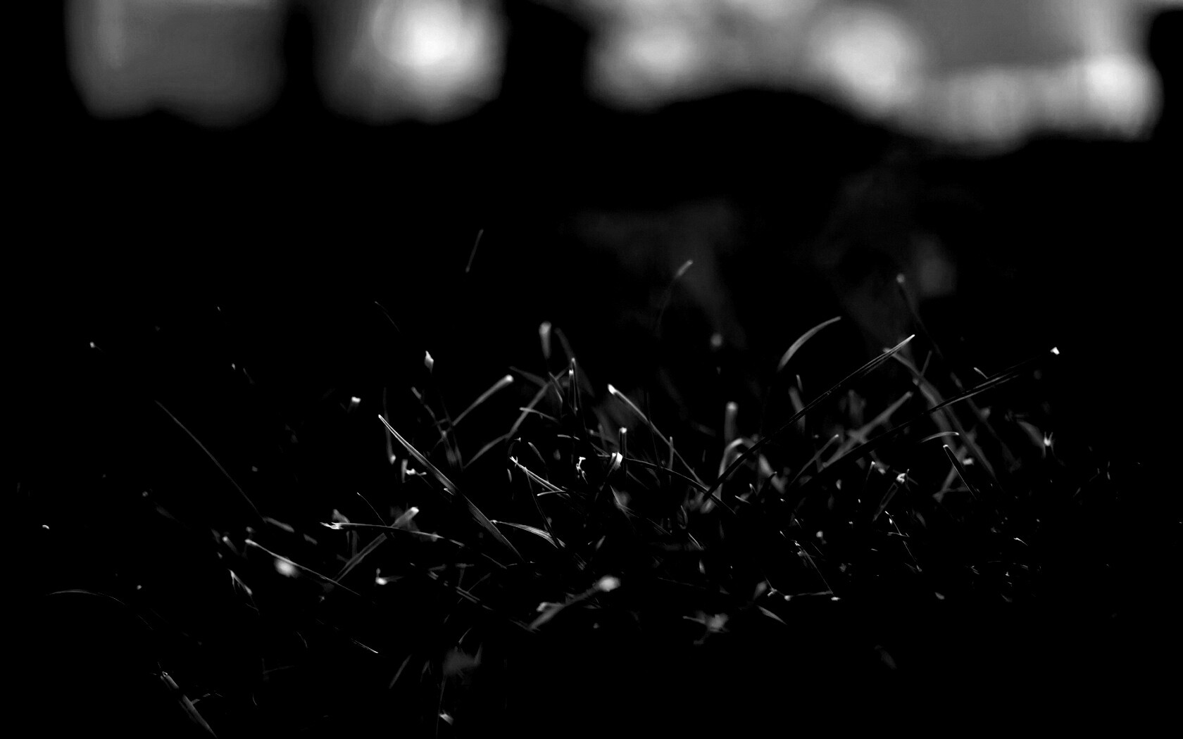 Сочная трава обои