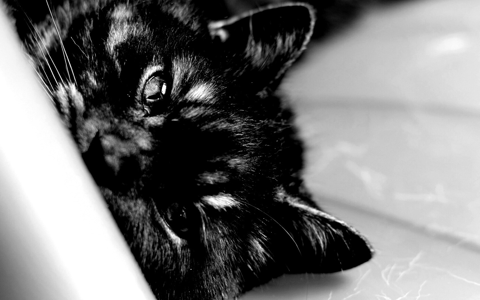 Глаза и уши обои