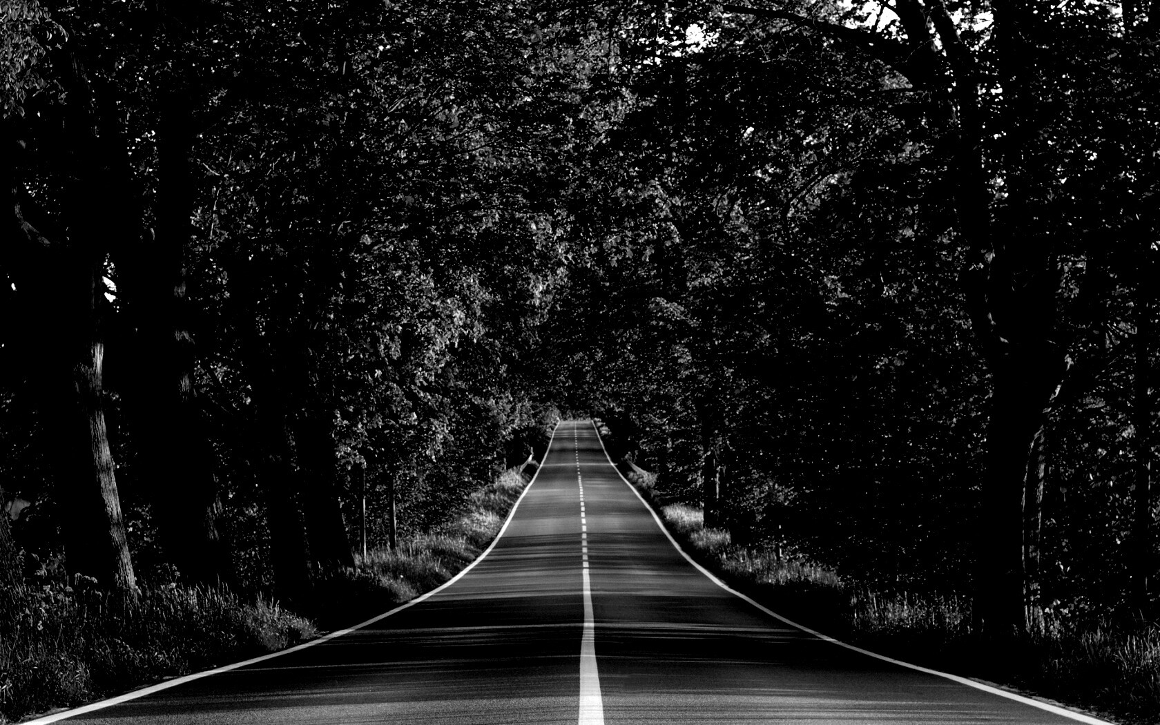 Под горку и в лес обои