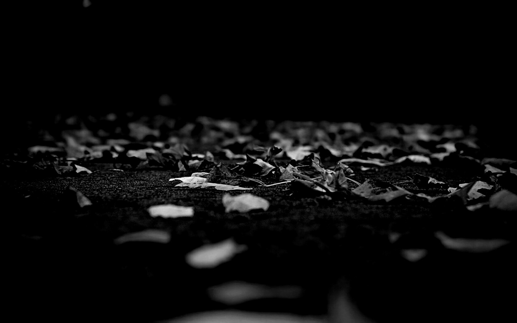 Дорога в листьях  обои