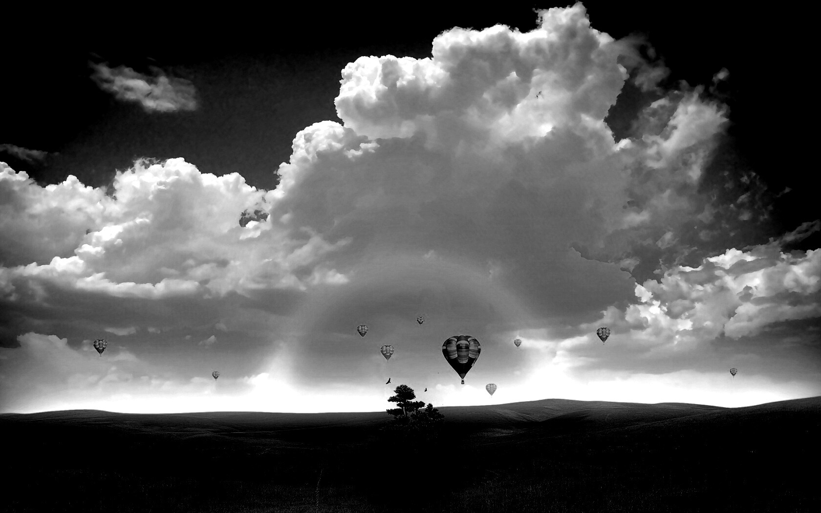 Мечты о полёте обои