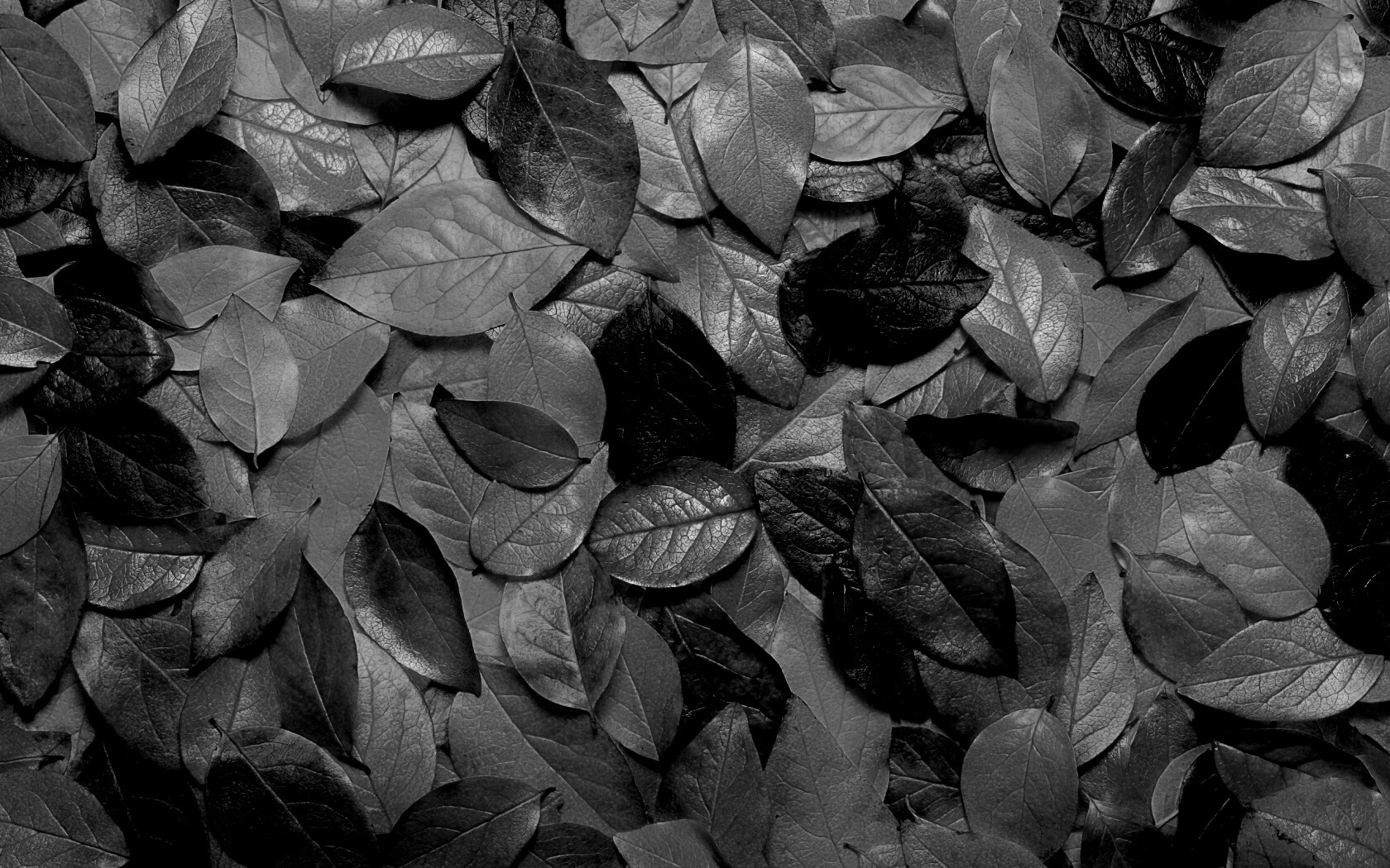 Цветной ковёр из листьев обои