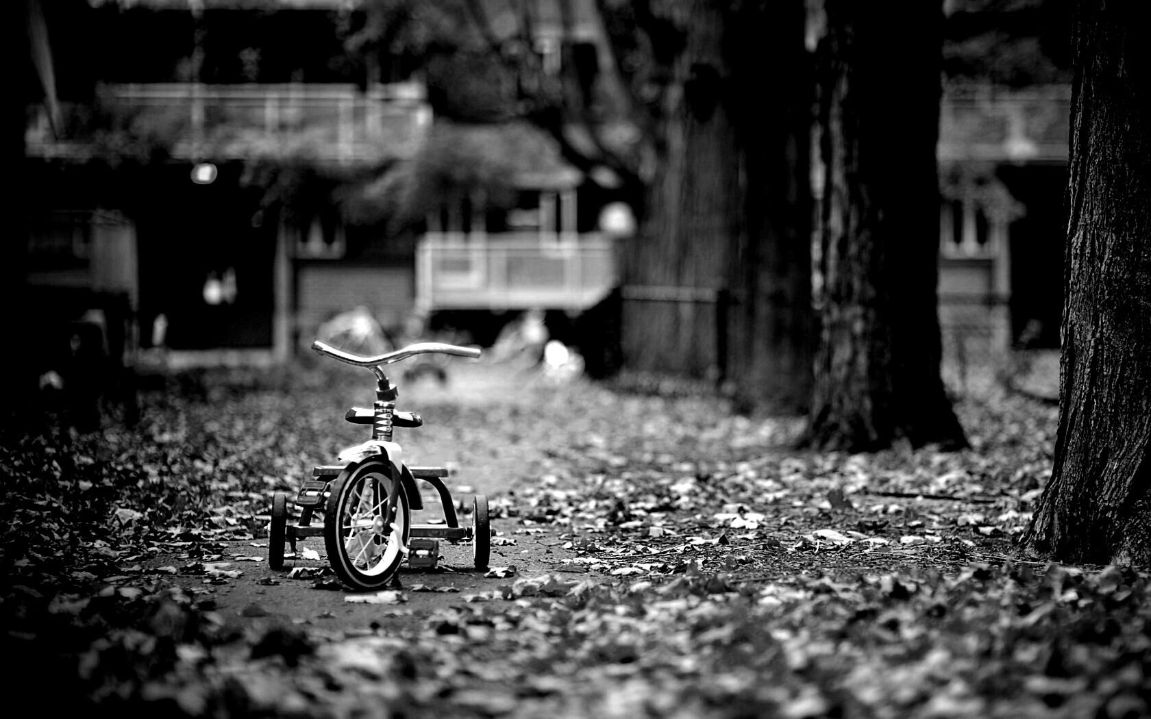 Трёхколёсный друг на осенней дорожке обои