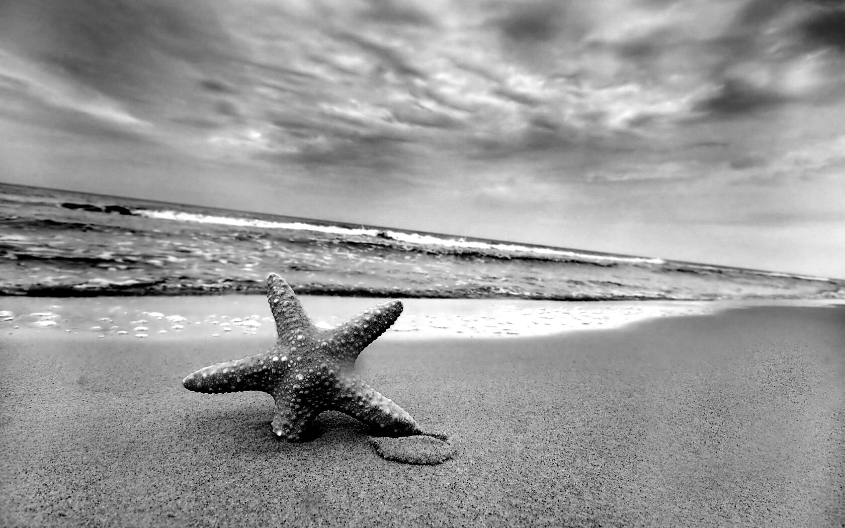 Морская звезда в песке обои