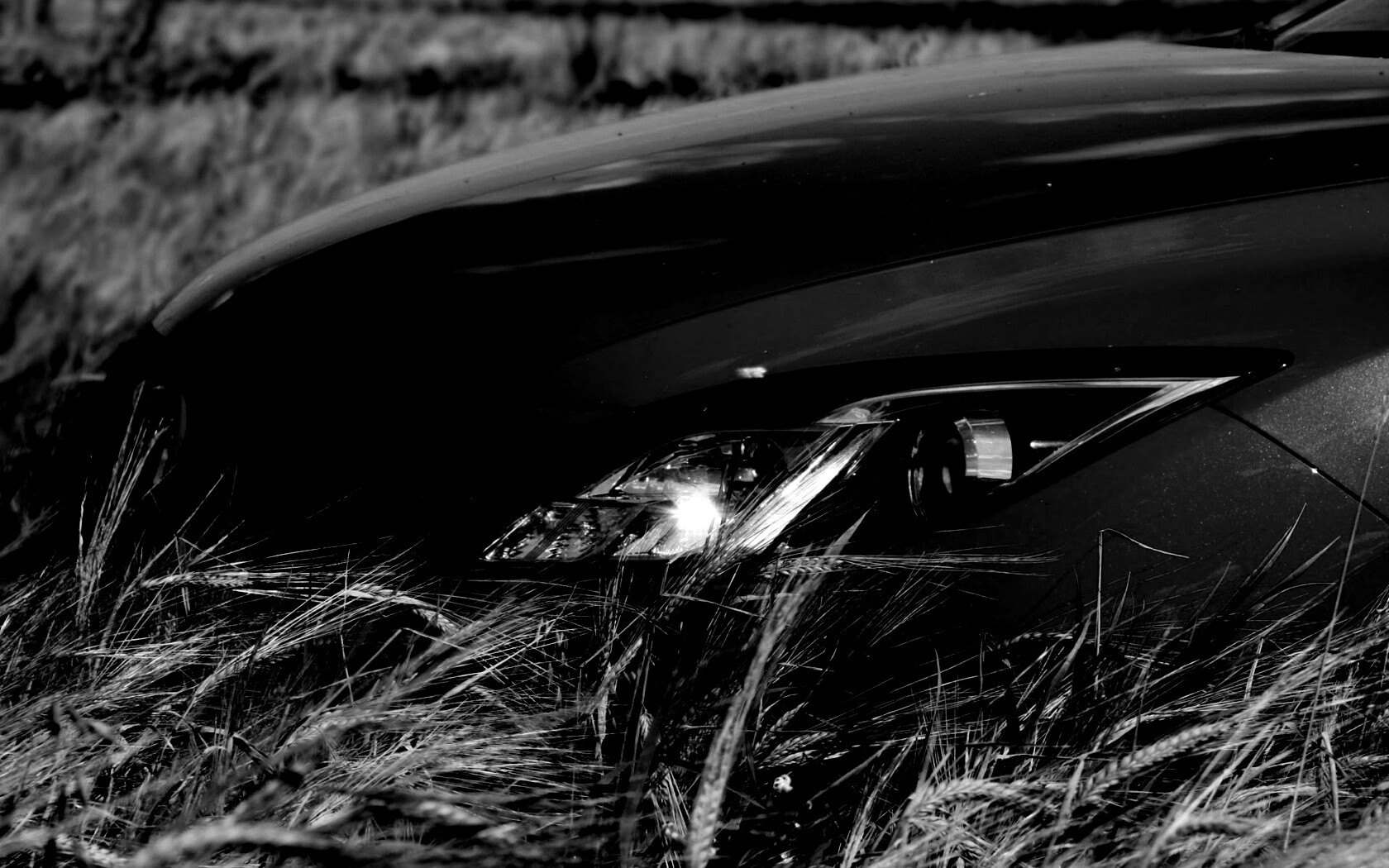 Мазда в пшенице обои