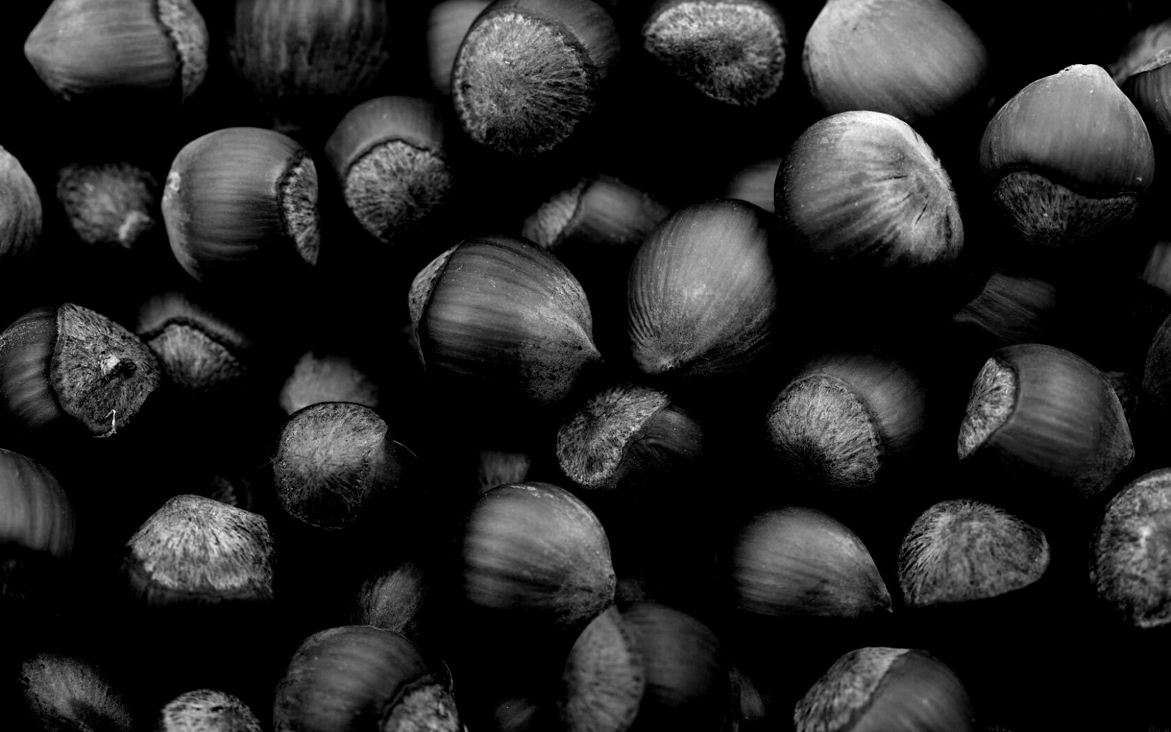 Фундук обои