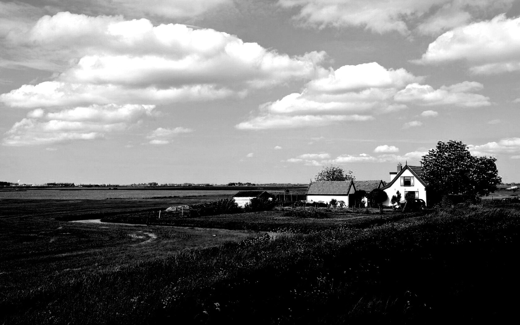 дом на лугу обои