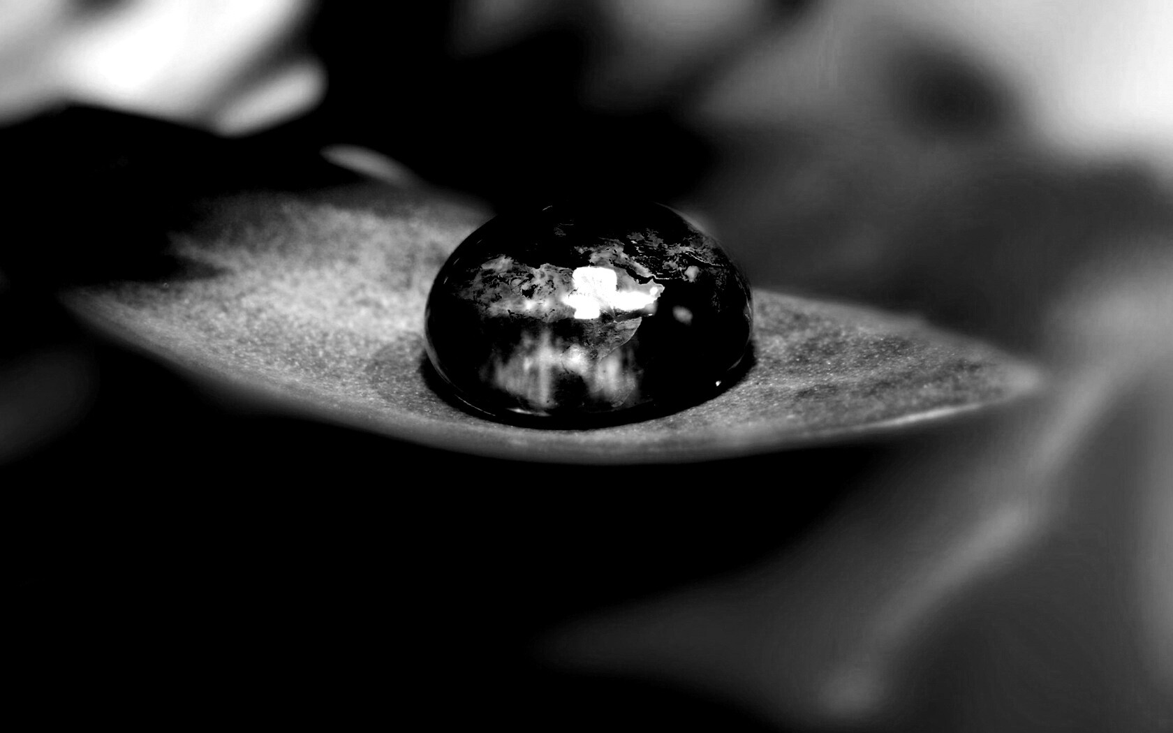 Целый мир в капле воды обои