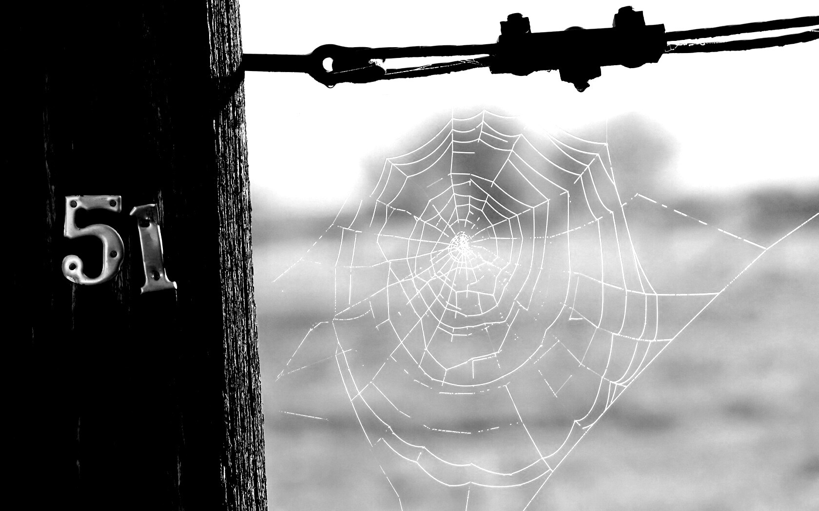 Паутина 51 обои