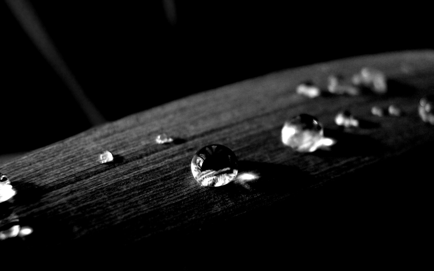 Капли росы на листе обои