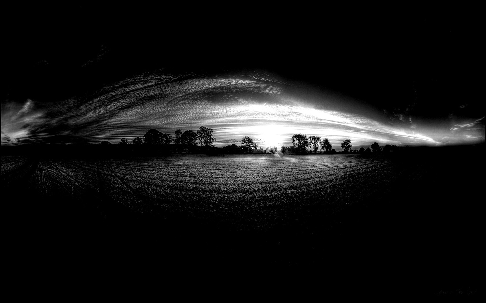 Поле широкоугольным объективом обои