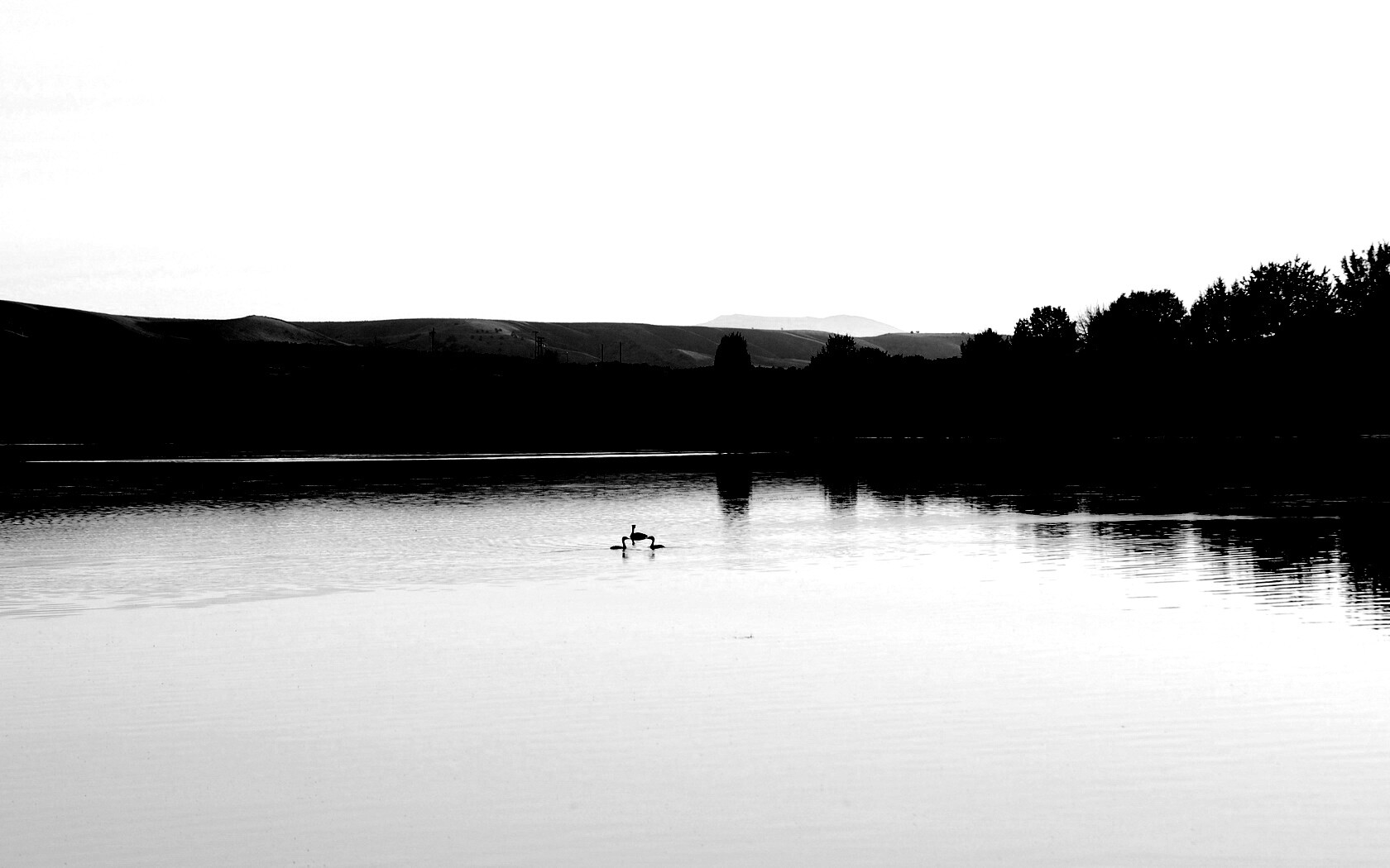 Утиное озеро обои