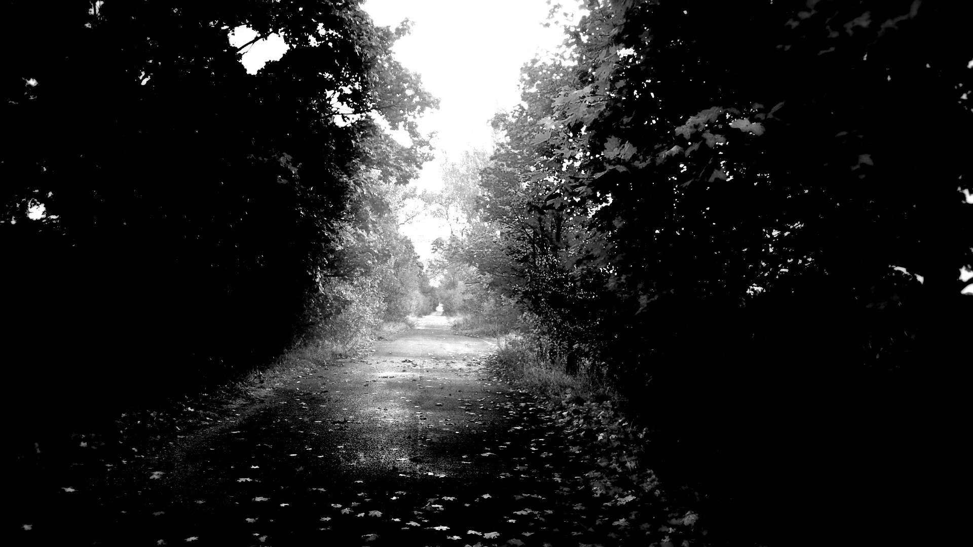 Желтая дорога обои