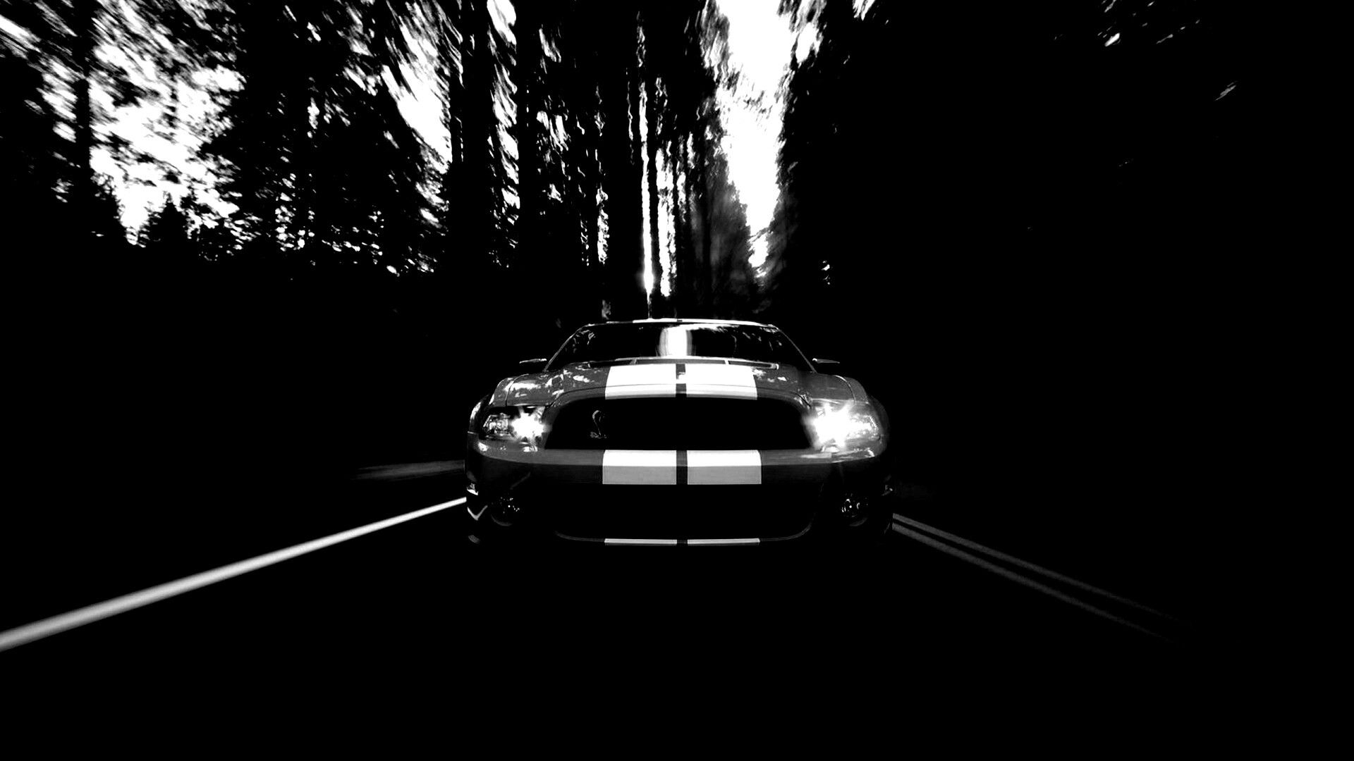 Форд Шелби обои