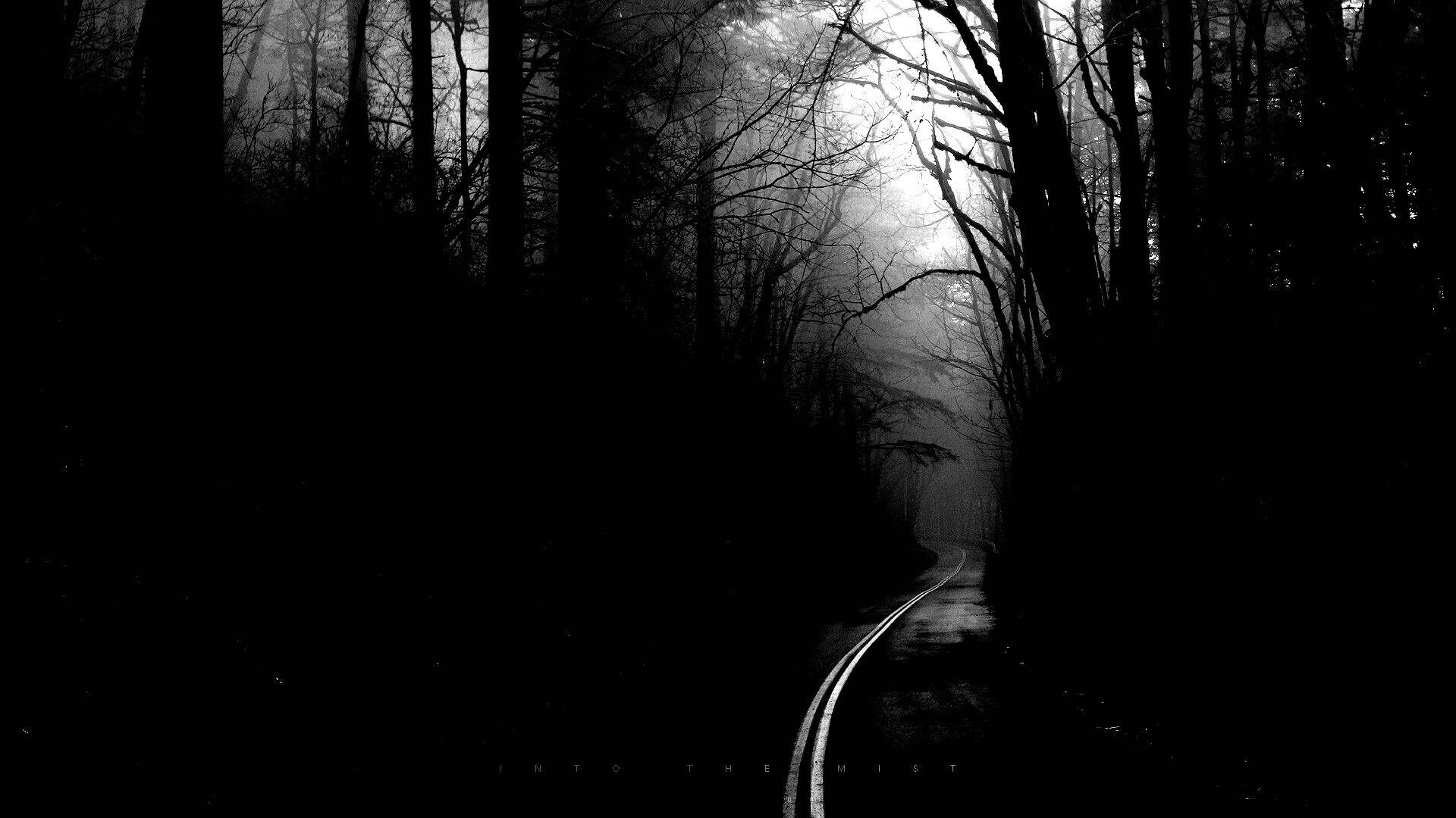 В туман обои