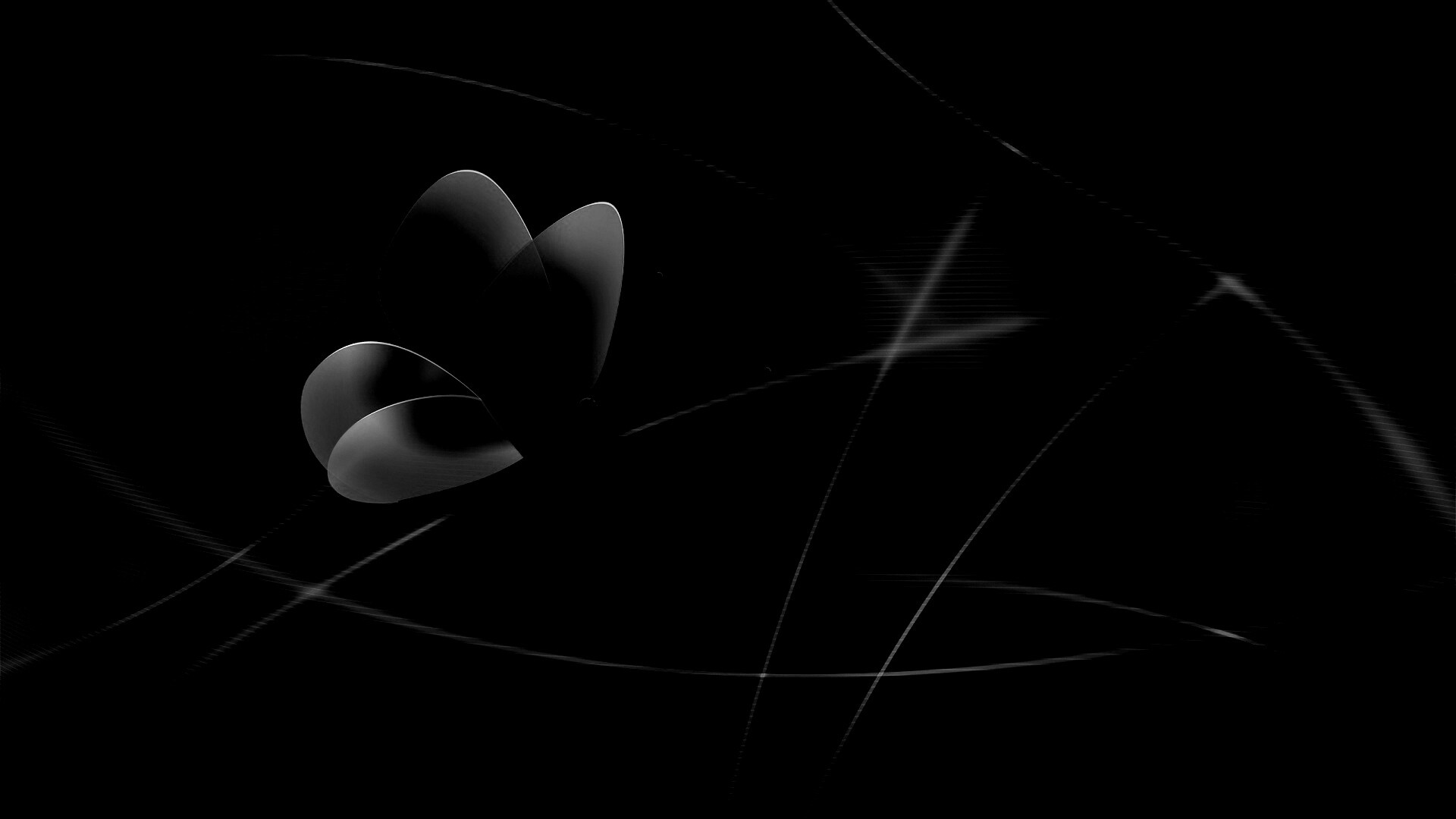 Бабочка с радужными крыльями обои