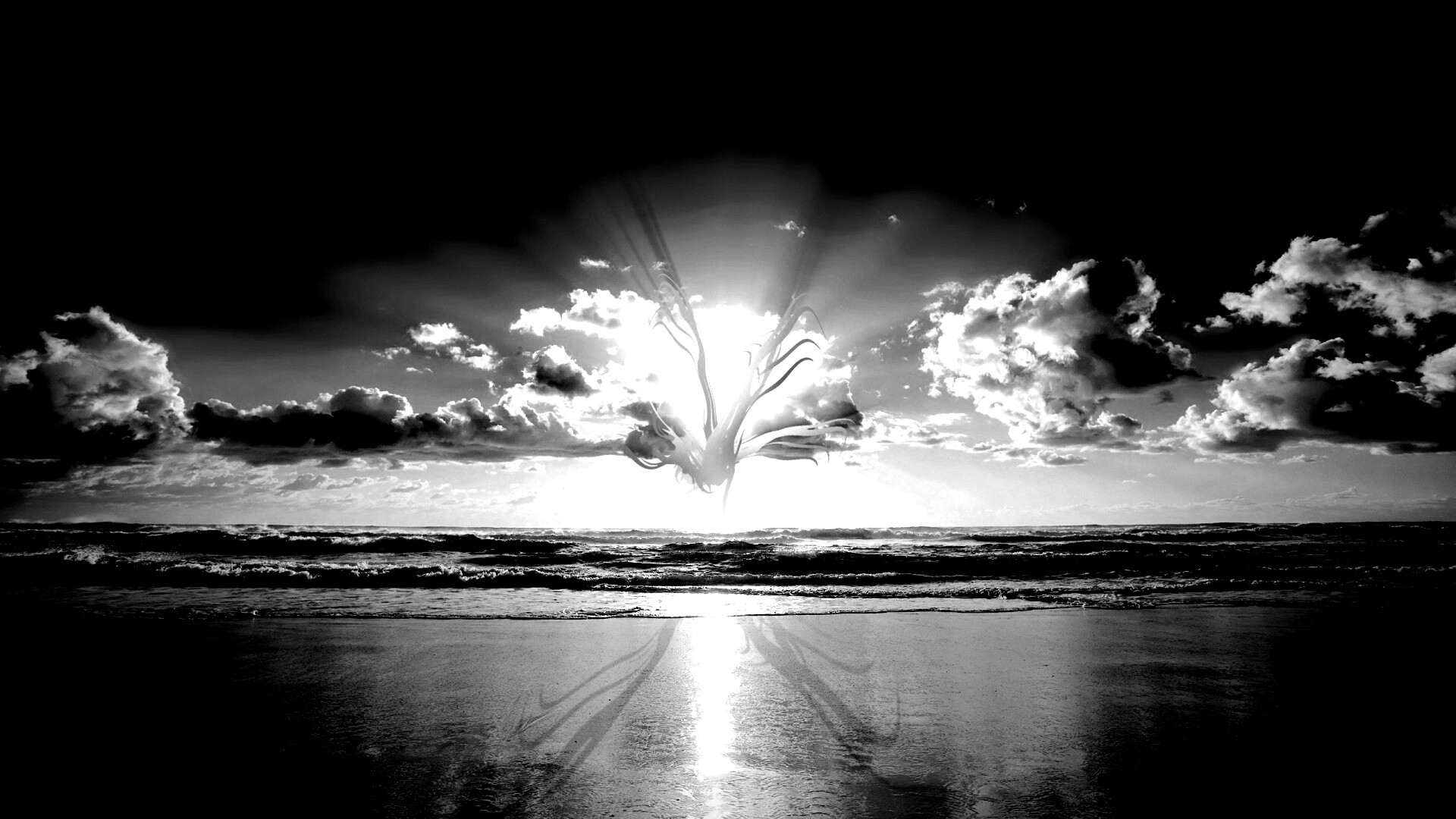 Абстрактные перья на фоне заката обои