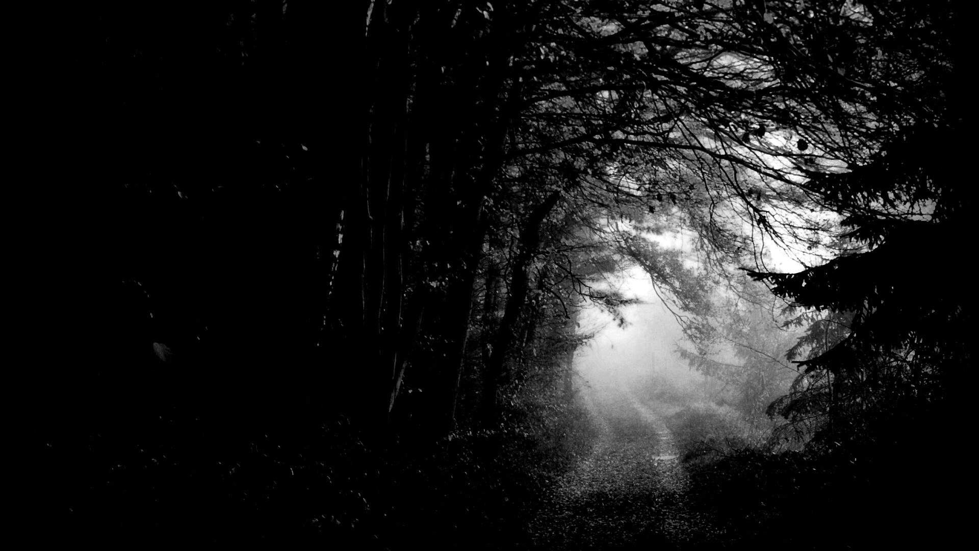 Дорожка заваленная листьями обои