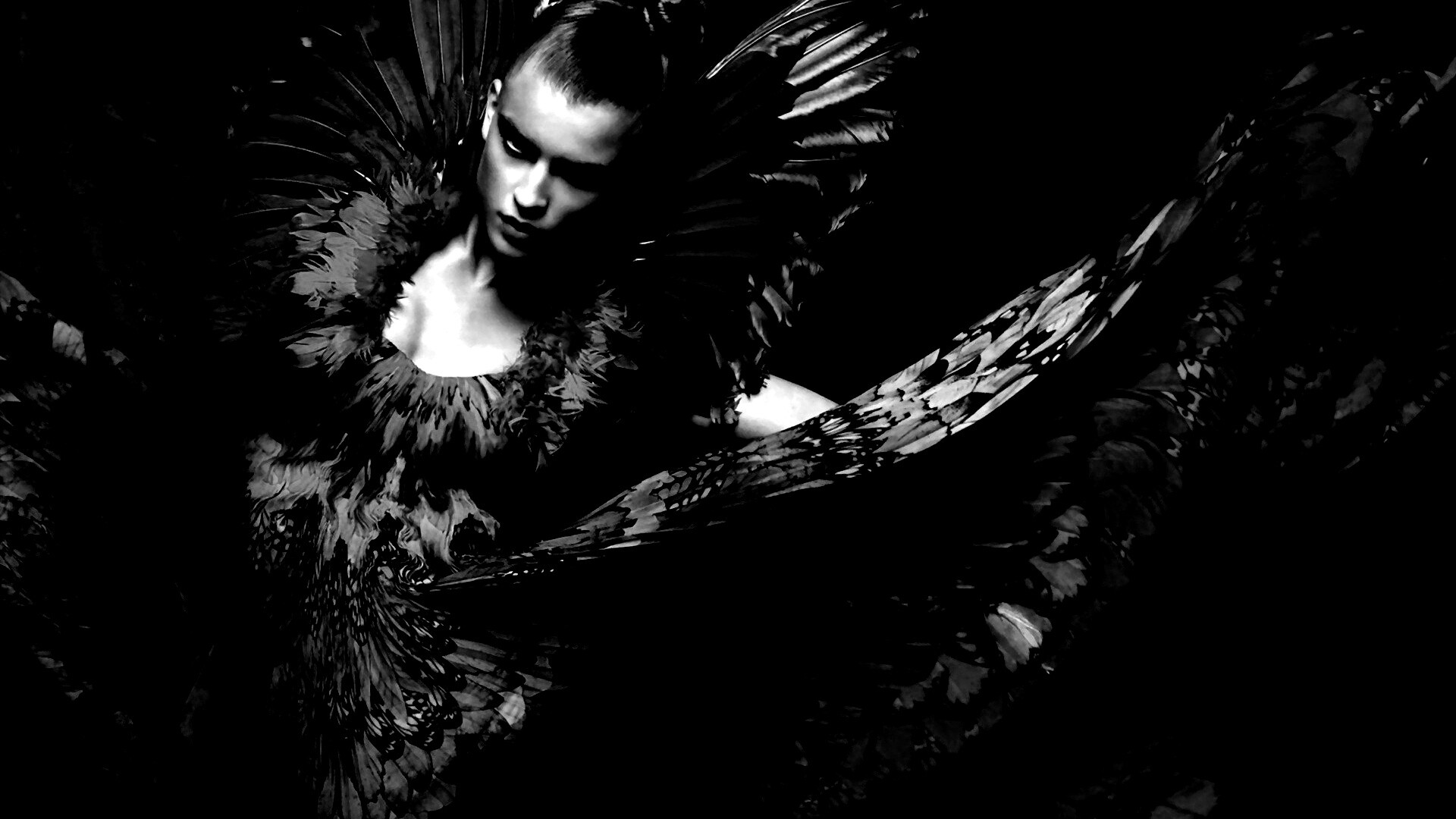 Костюм жар птицы обои