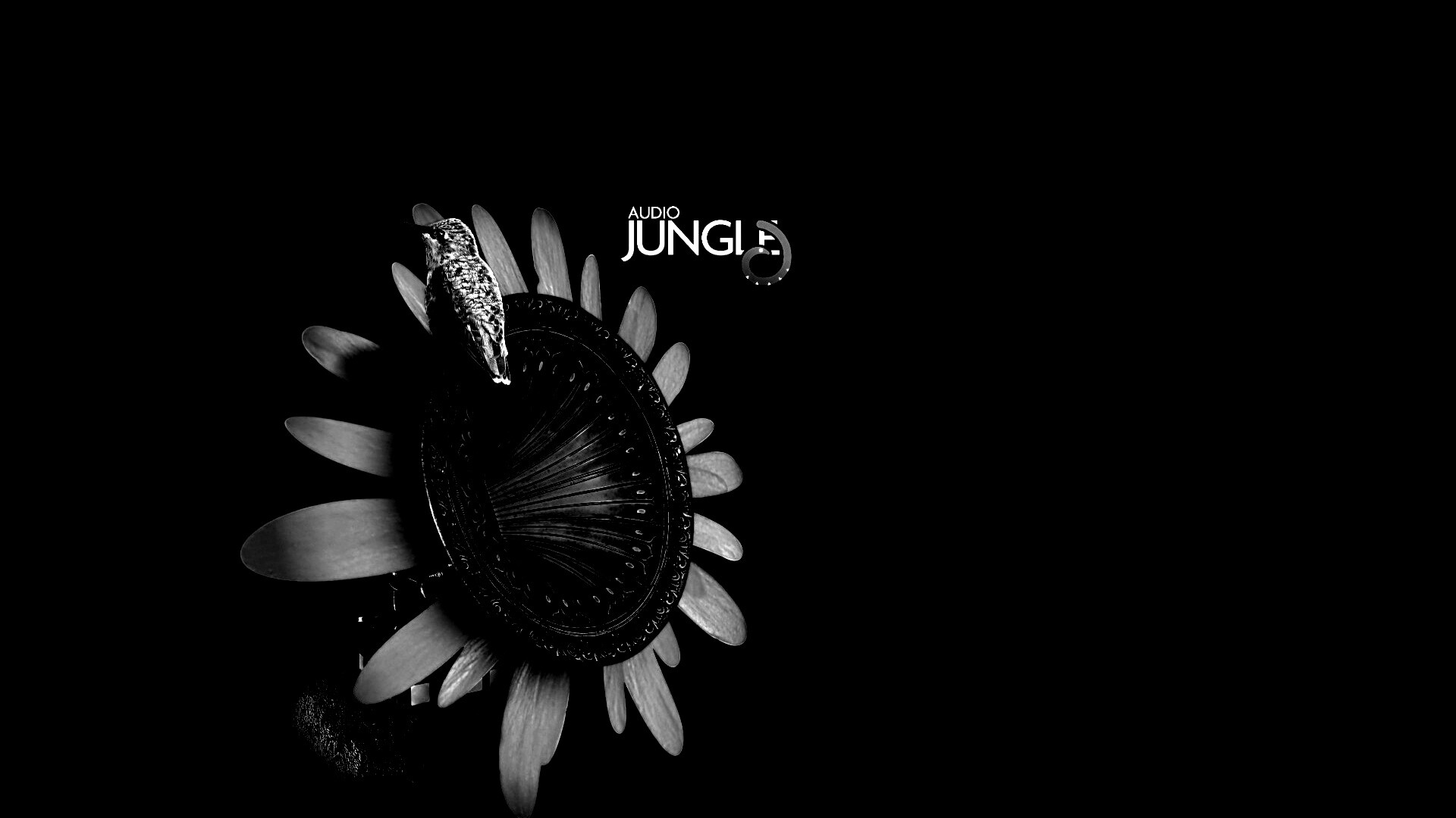 Звуки джунглей обои