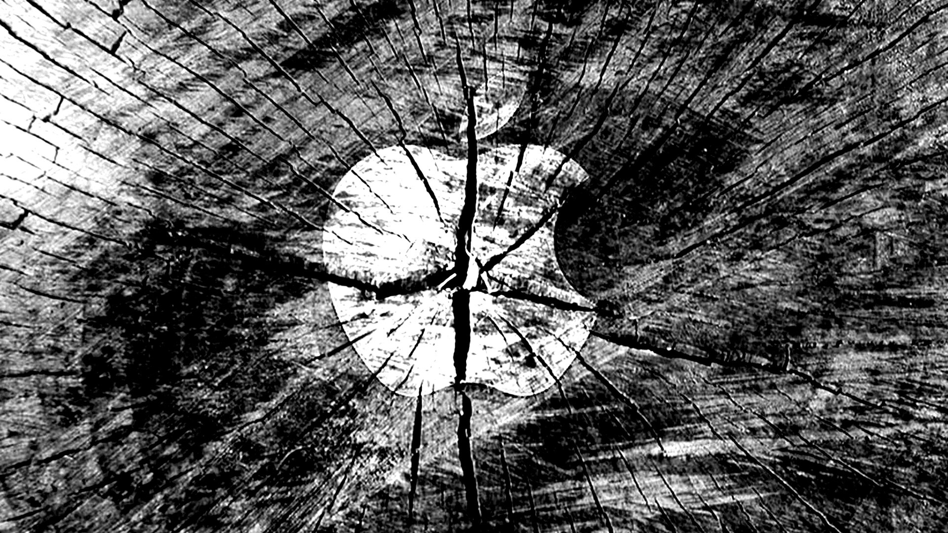 Логотип Apple на бревне обои