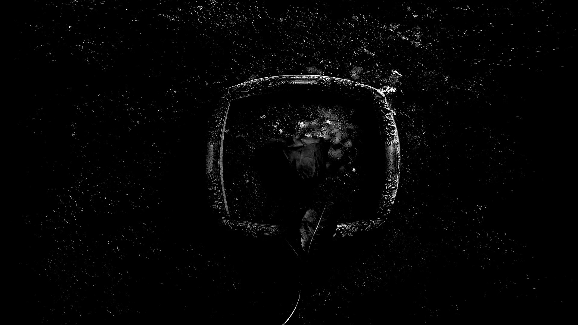 Роза на картинной раме обои