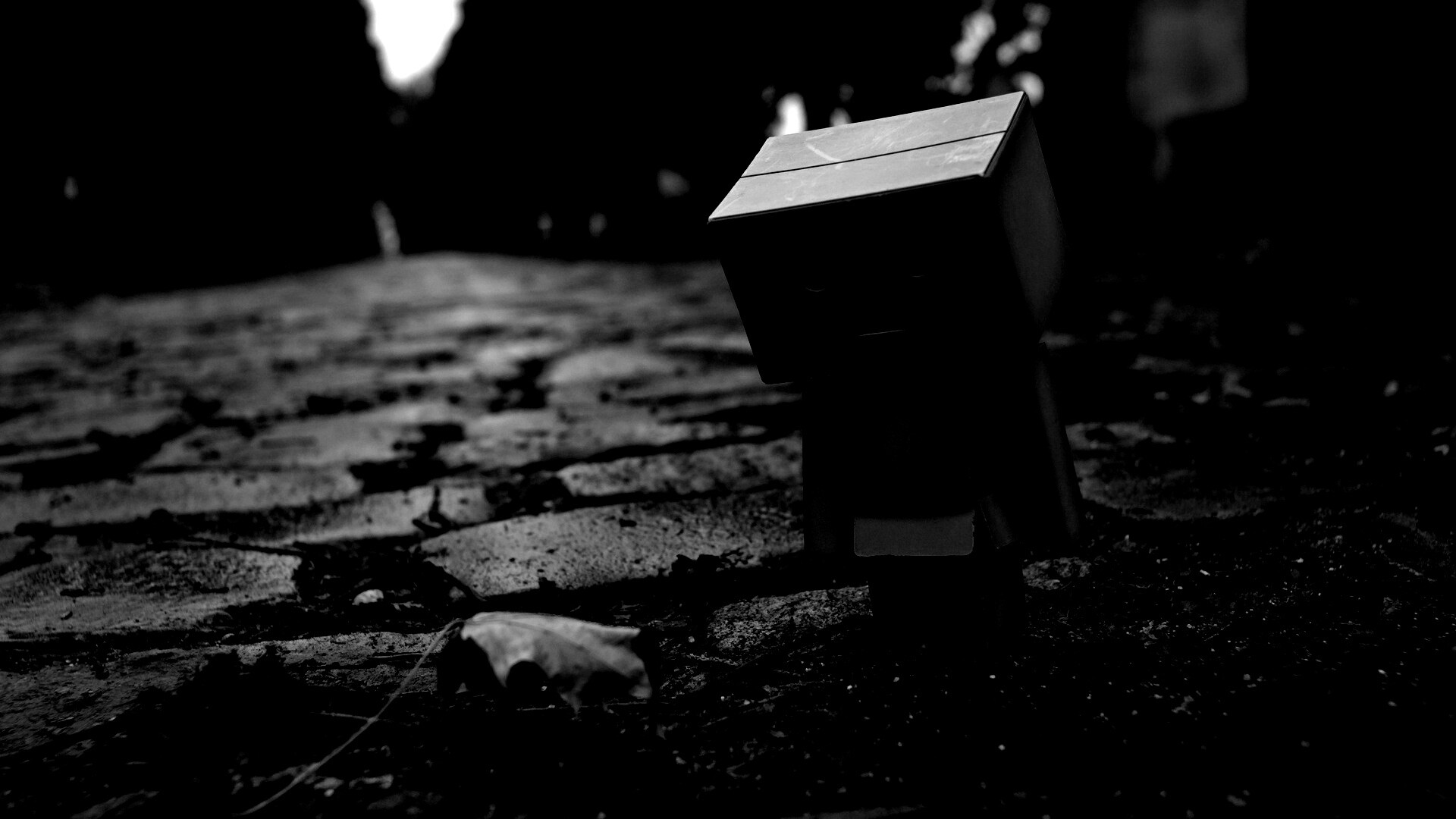 Danbo и первый осенний лист обои