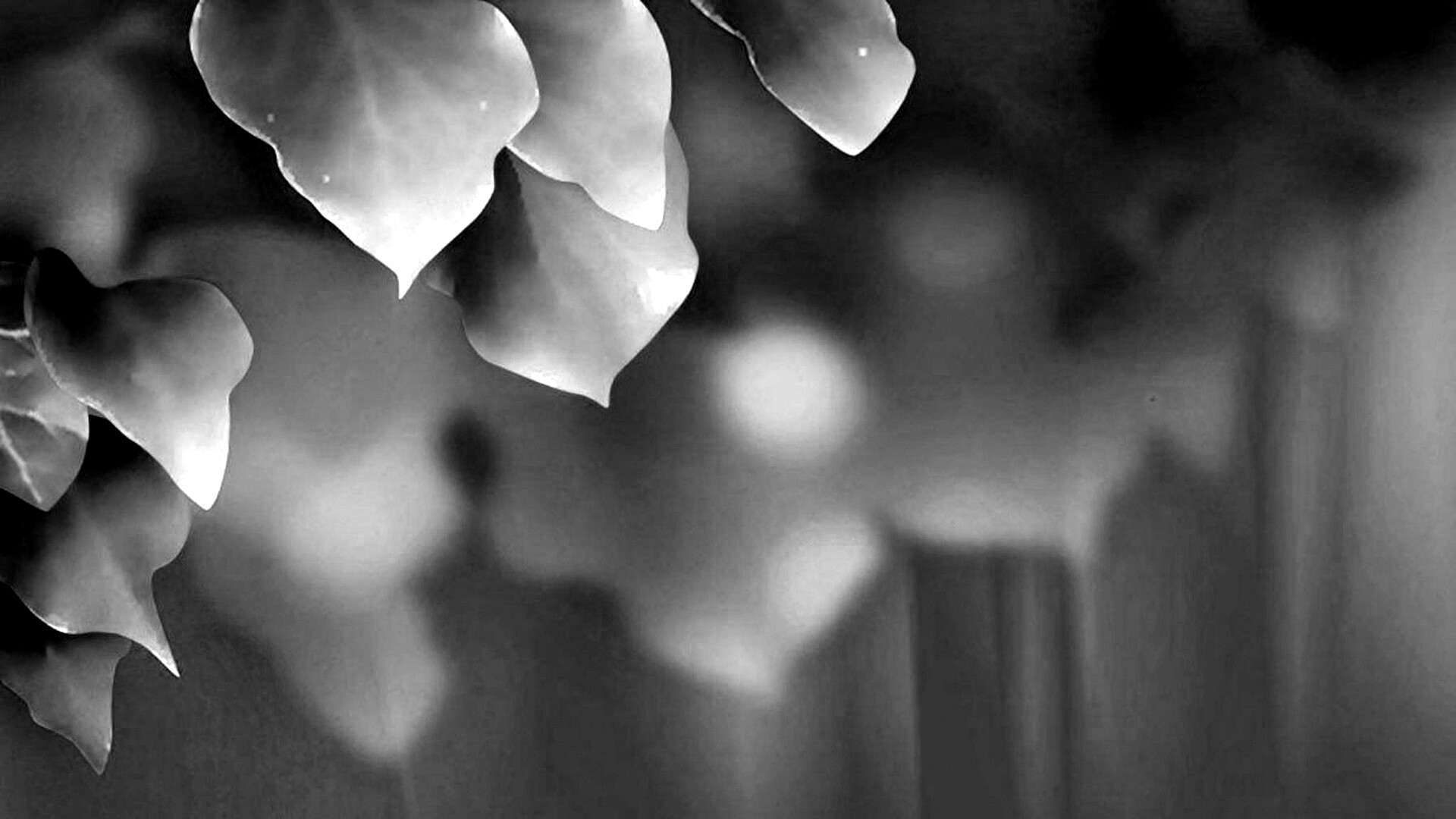 Синие листья обои