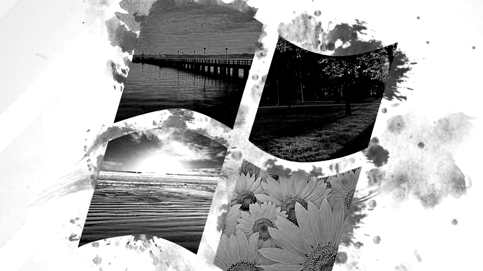 Логотип Winfdows bз фотографий природы обои