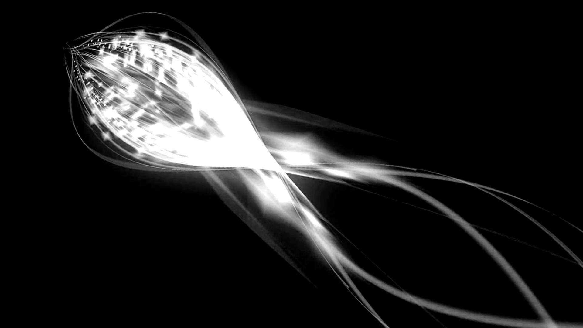 Сгусток красных линий обои