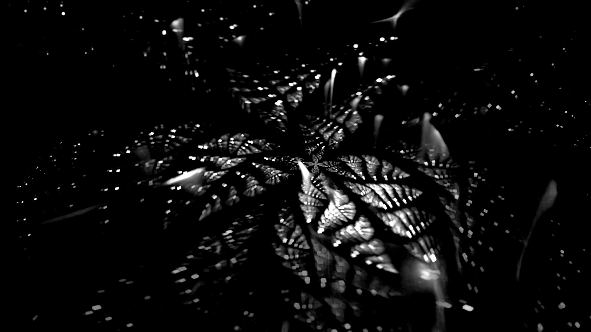 Мерцающий калейдоскоп обои