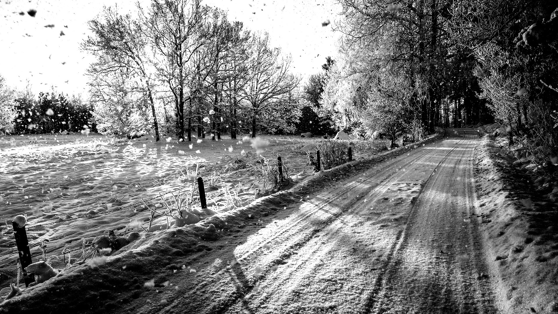 Снежная дорога залитая солнцем обои