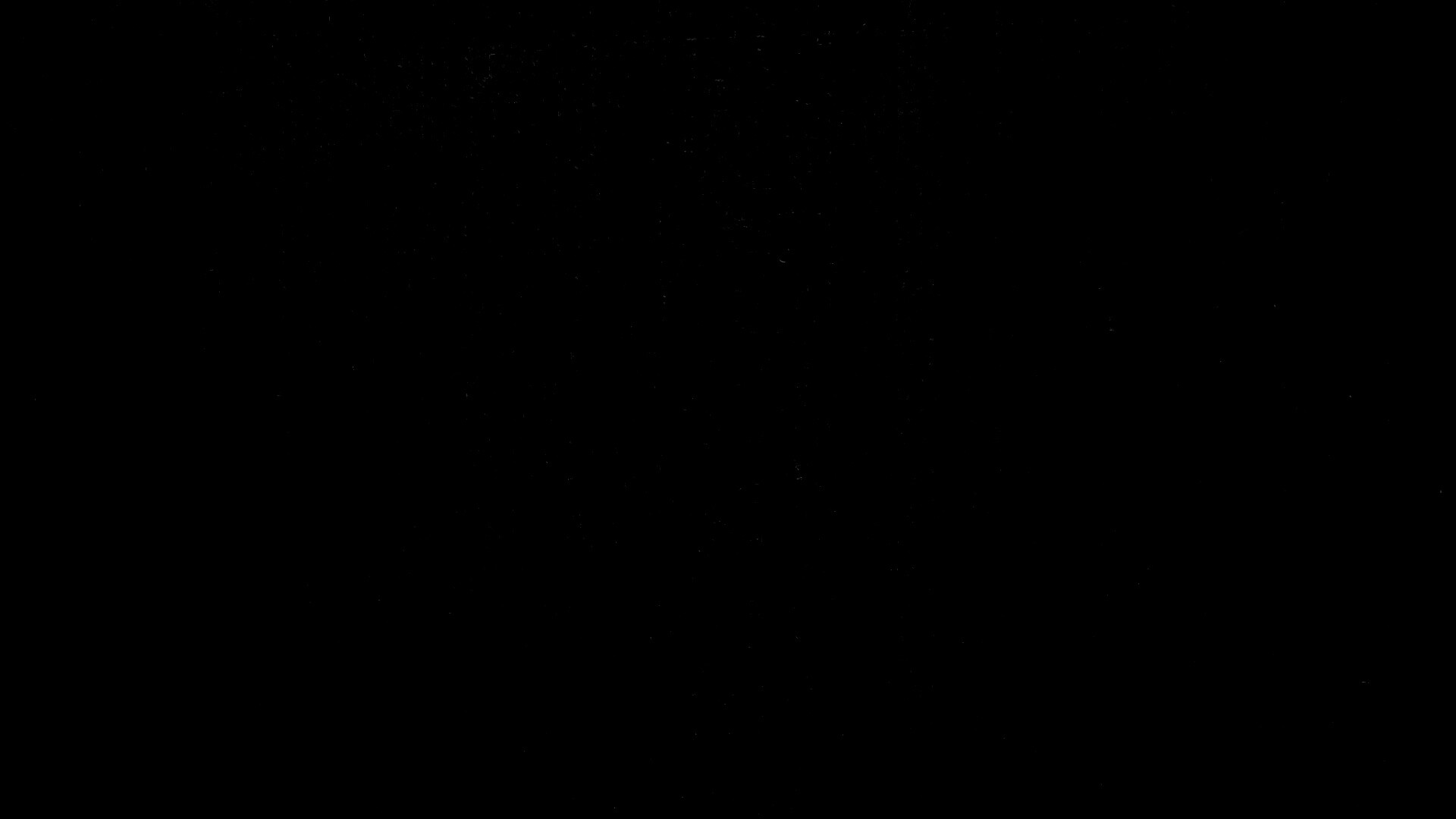 Темно-оранжевое дерево обои