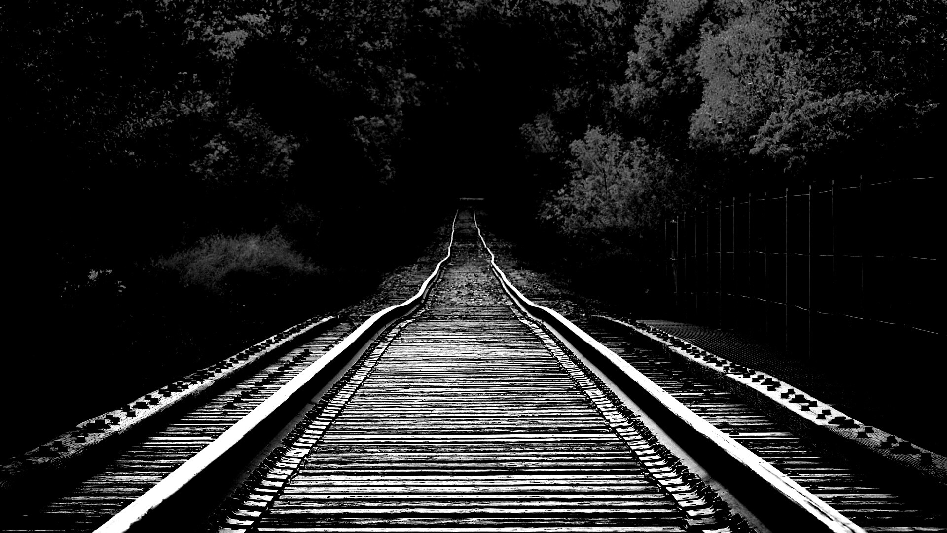 Железная дорога в осеннем лесу обои