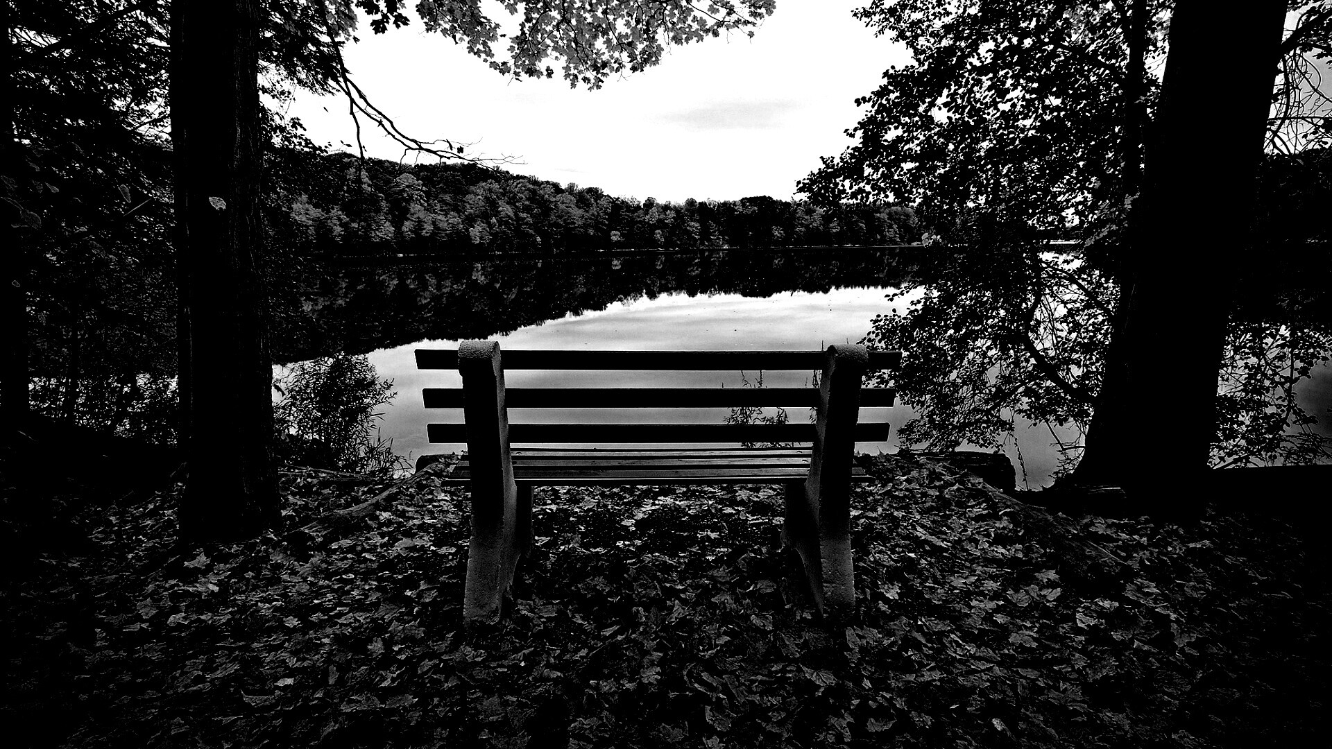 Вид на осеннее озеро обои