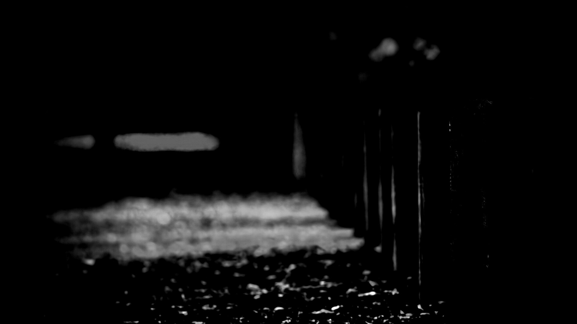 Аллея усеянная листвой обои