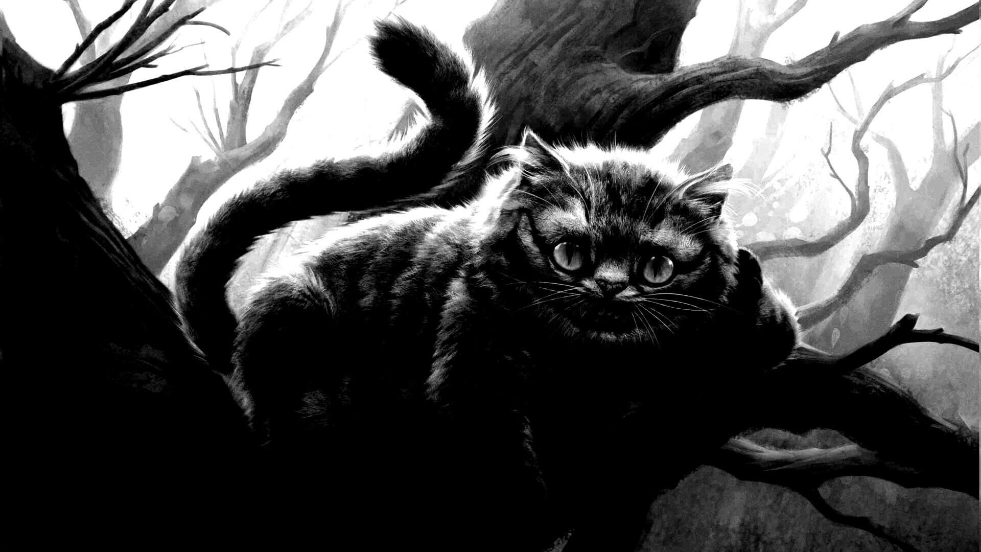 Чеширский кот обои