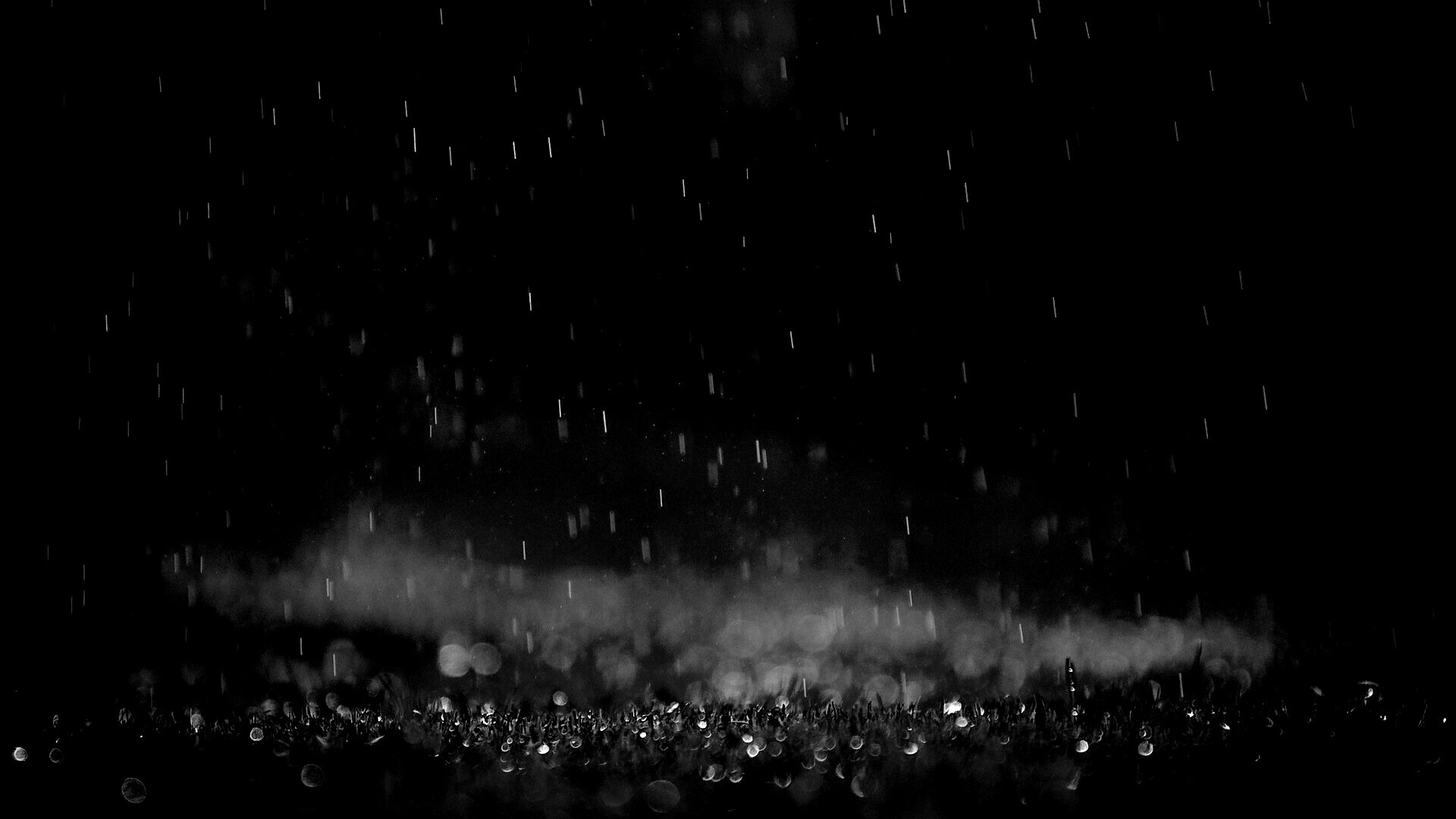 Трава под дождем обои